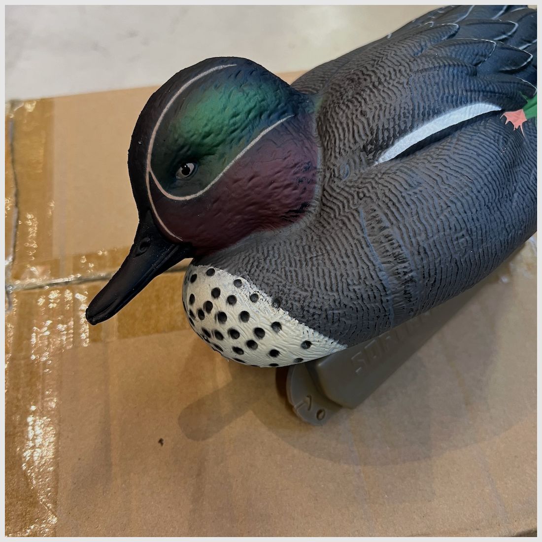Canard Colvert Mâle 6 pcs, image 2 sur 5