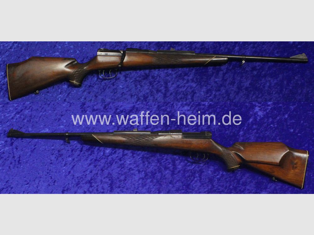 Mauser 66