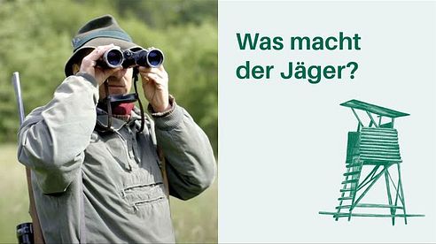 Was macht der Jäger? Arbeitsplatz Wald 🌳🌲 I Berufe in Wald & Forstwirtschaft