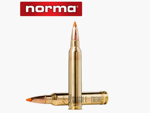 20 Munitions NORMA Cal 300 Wsm 170gr Tipstrike