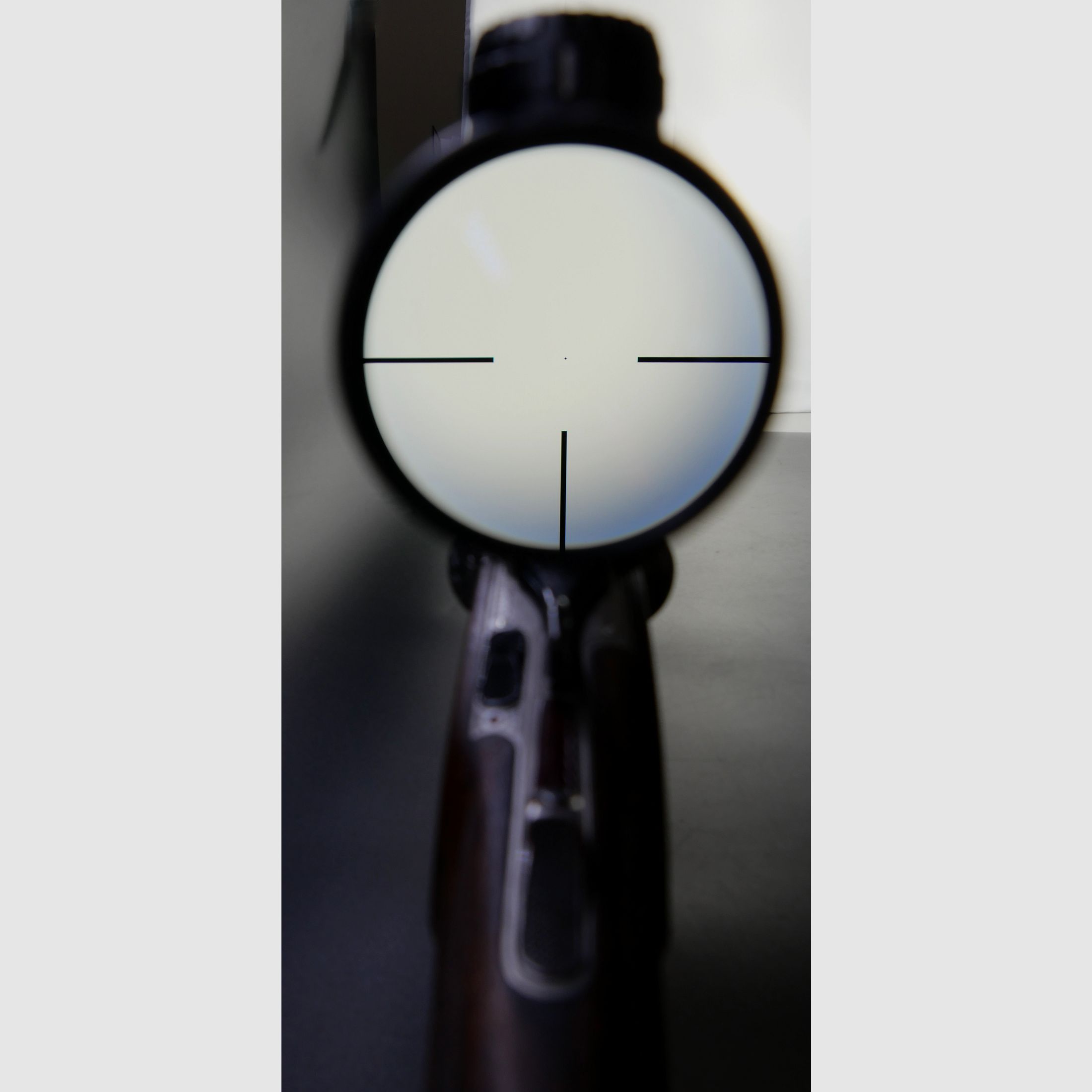 Krieghoff Trumpf - Standard drilling with separate ball clamps 7x65R; 12/70 + insert barrel