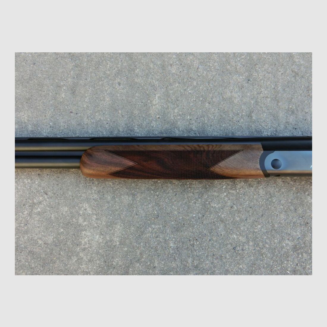 Blaser F16 Game