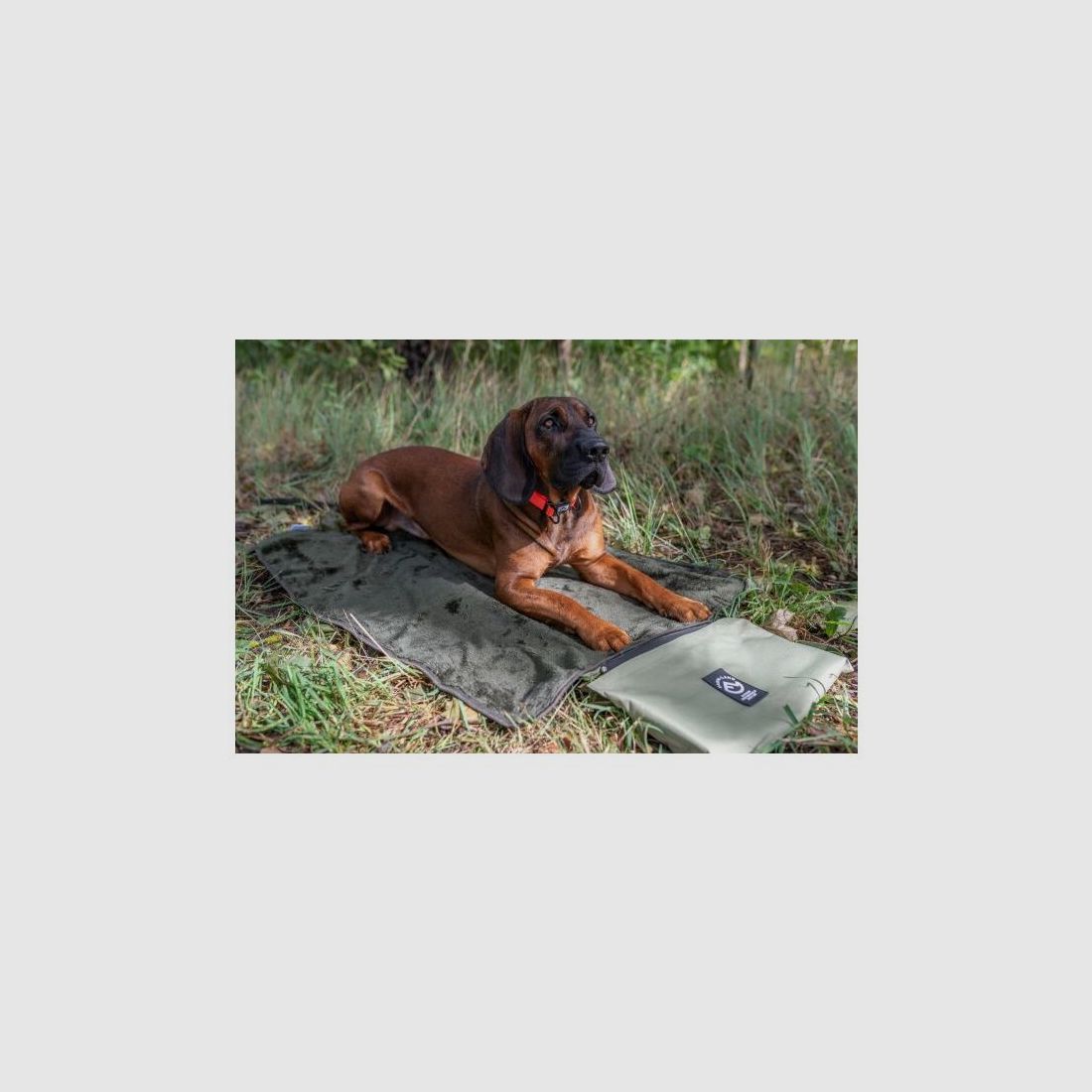 Farm-Land Outdoor-Hundebett
