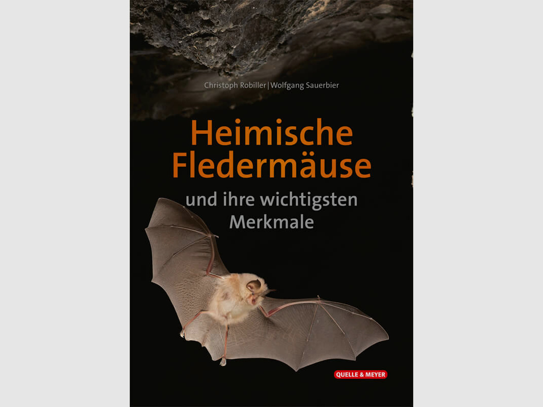 Bestimmungskarte "Heimische Fledermäuse und ihre wichtigsten Merkmale"