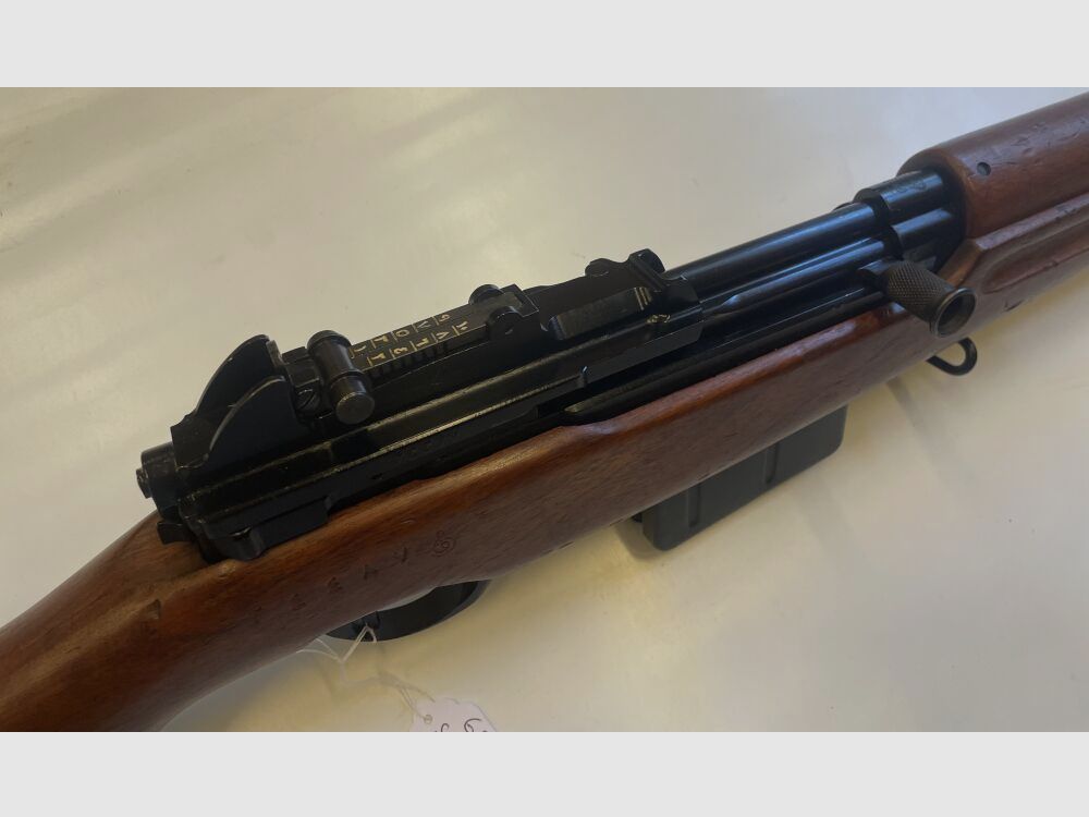 SAFN 49