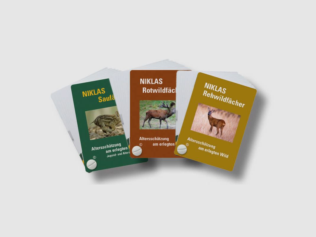 NIKLAS Set di Comparti per la Stima dell'Età 3 Pezzi