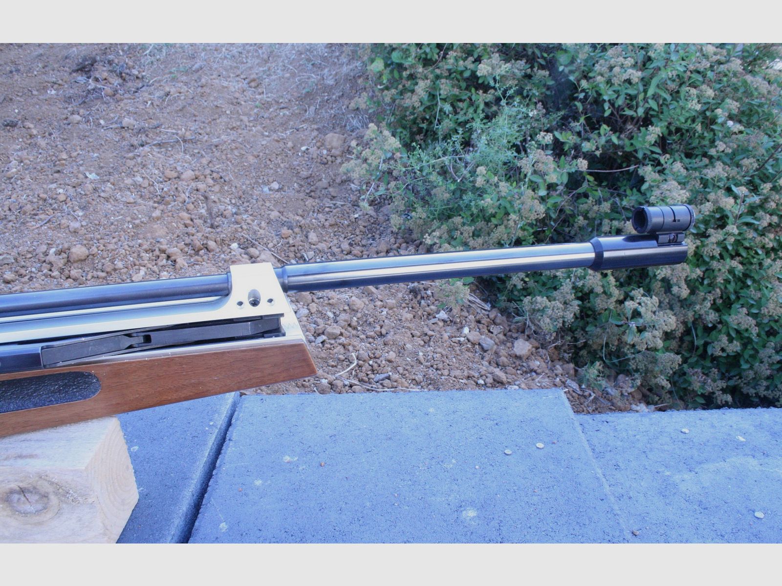 Luchtgeweer Walther LG 90