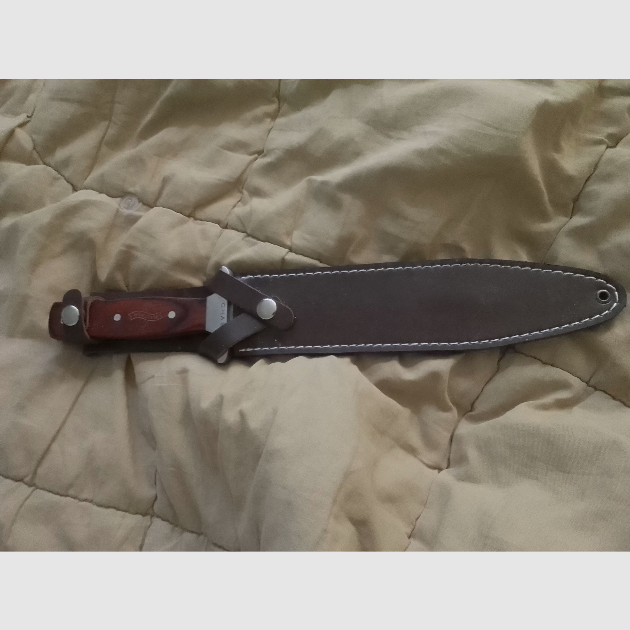 Cuchillo Walter Saufänger