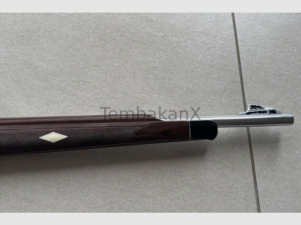 Remington Nylon 66 .22lr