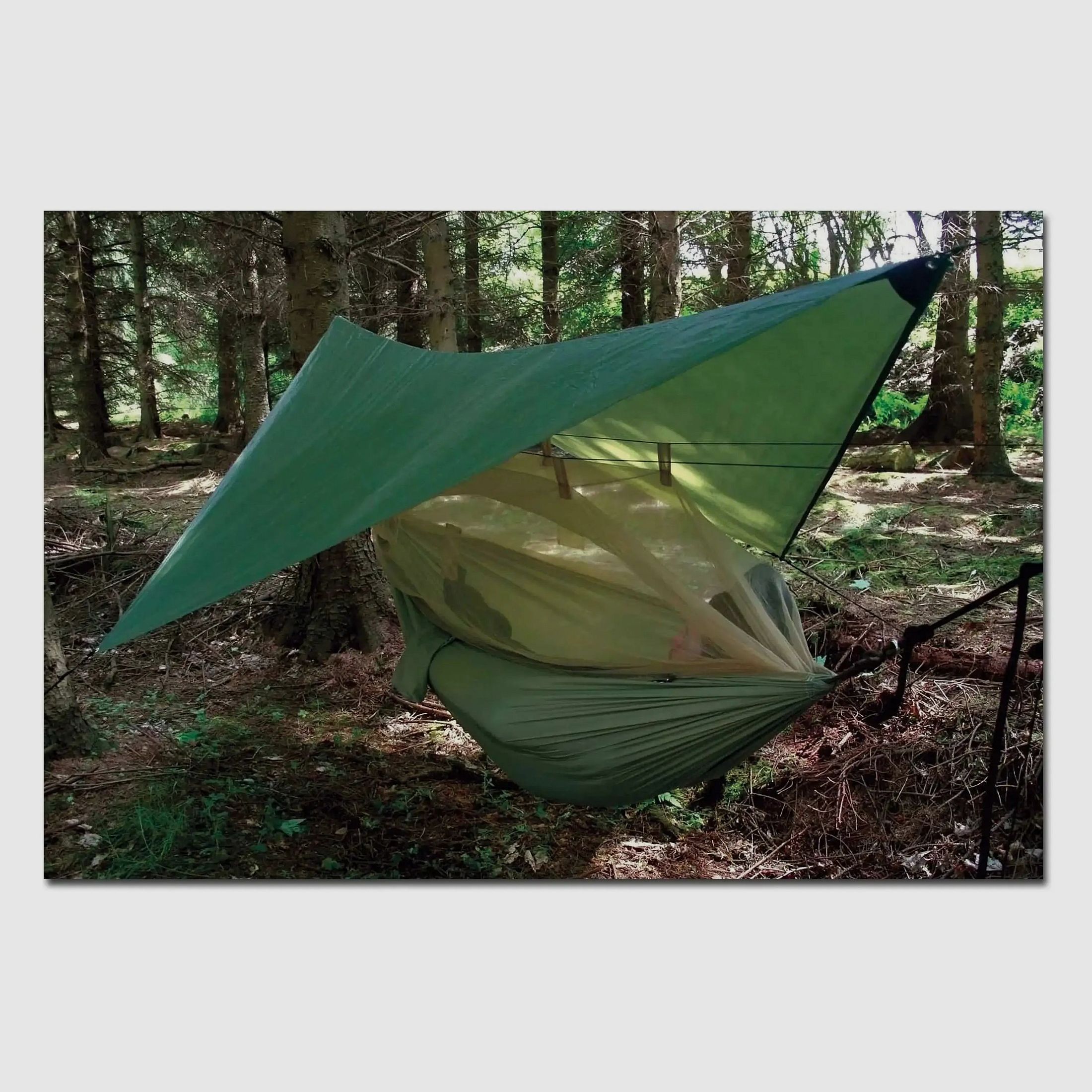 Pro-Force Pro-Force Hamac Highlander Nomad olive