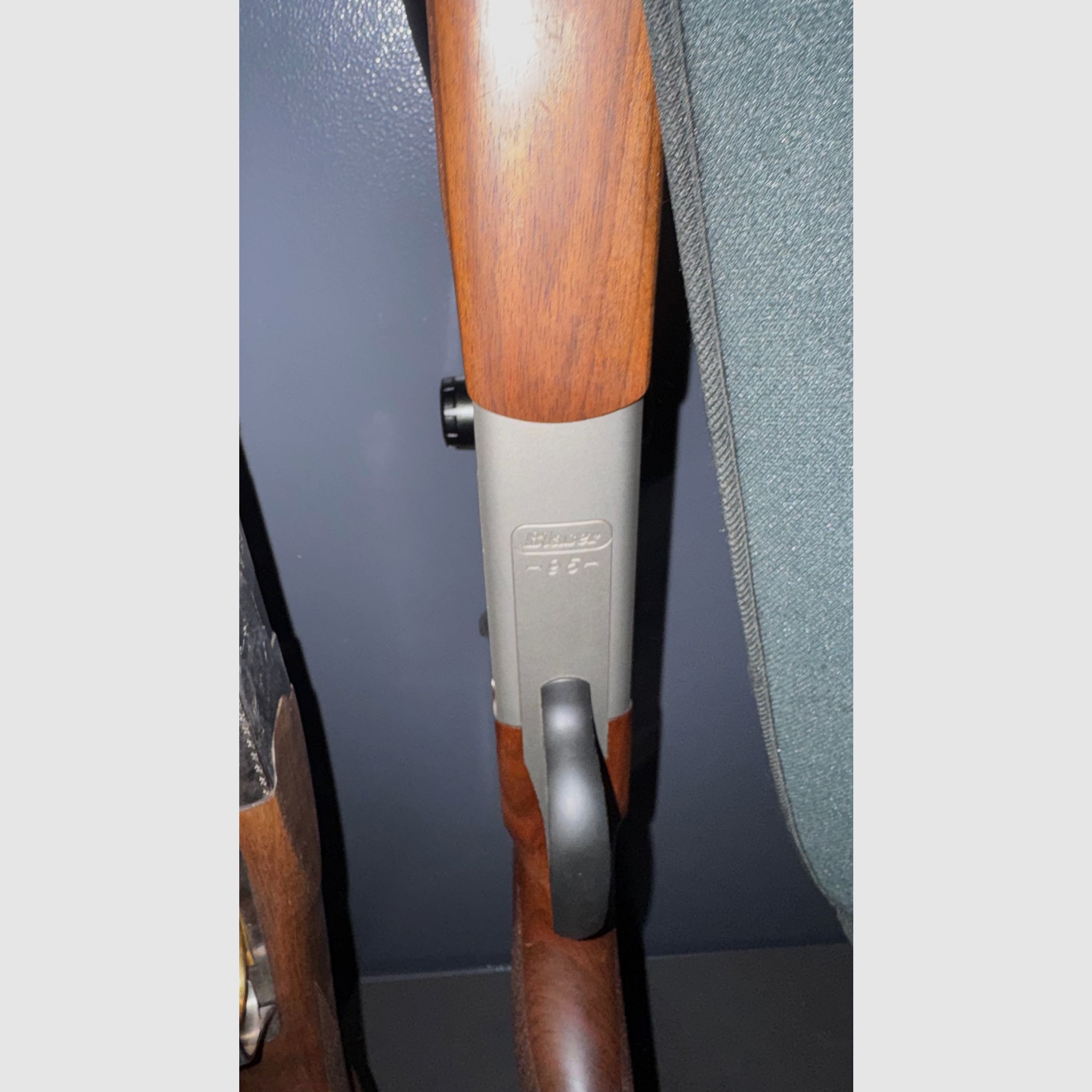Blaser BS95 