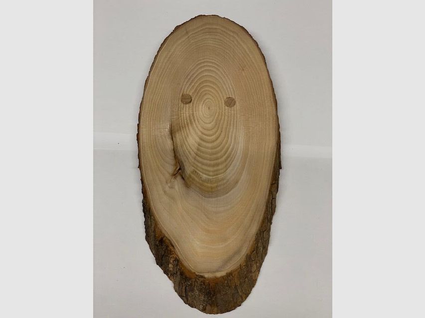 Wappenschilder 22,5cmx10,5cm