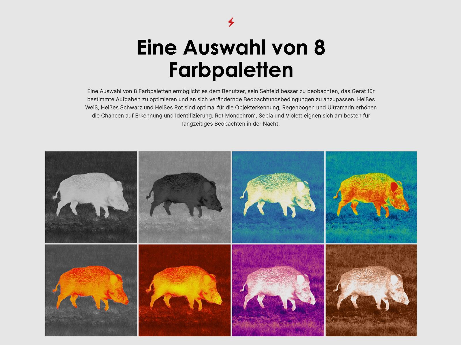 PULSAR 77508 thermal imaging device Axion XG30 Compact up to 1300m Wifi photo video