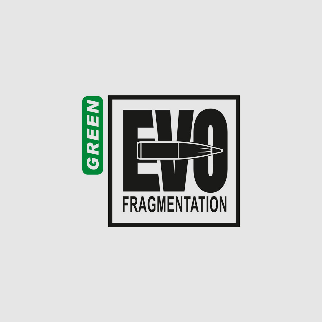 RWS 9,3x64 RWS EVO Green 184gr - 20 pezzi