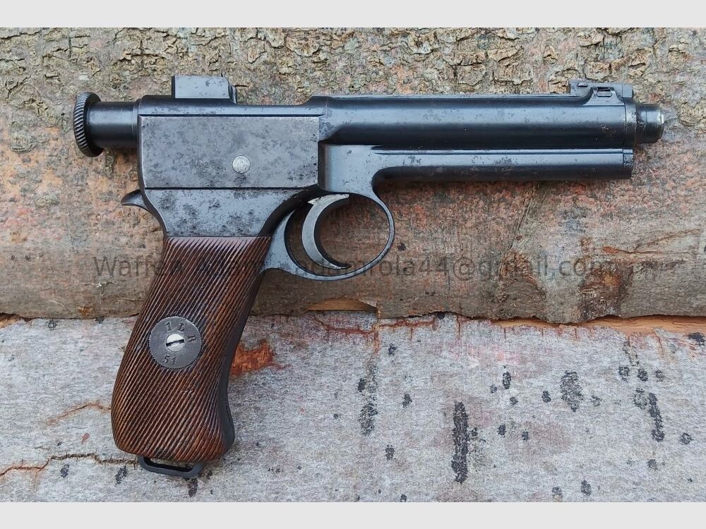 Steyr Roth-Steyr M.1907