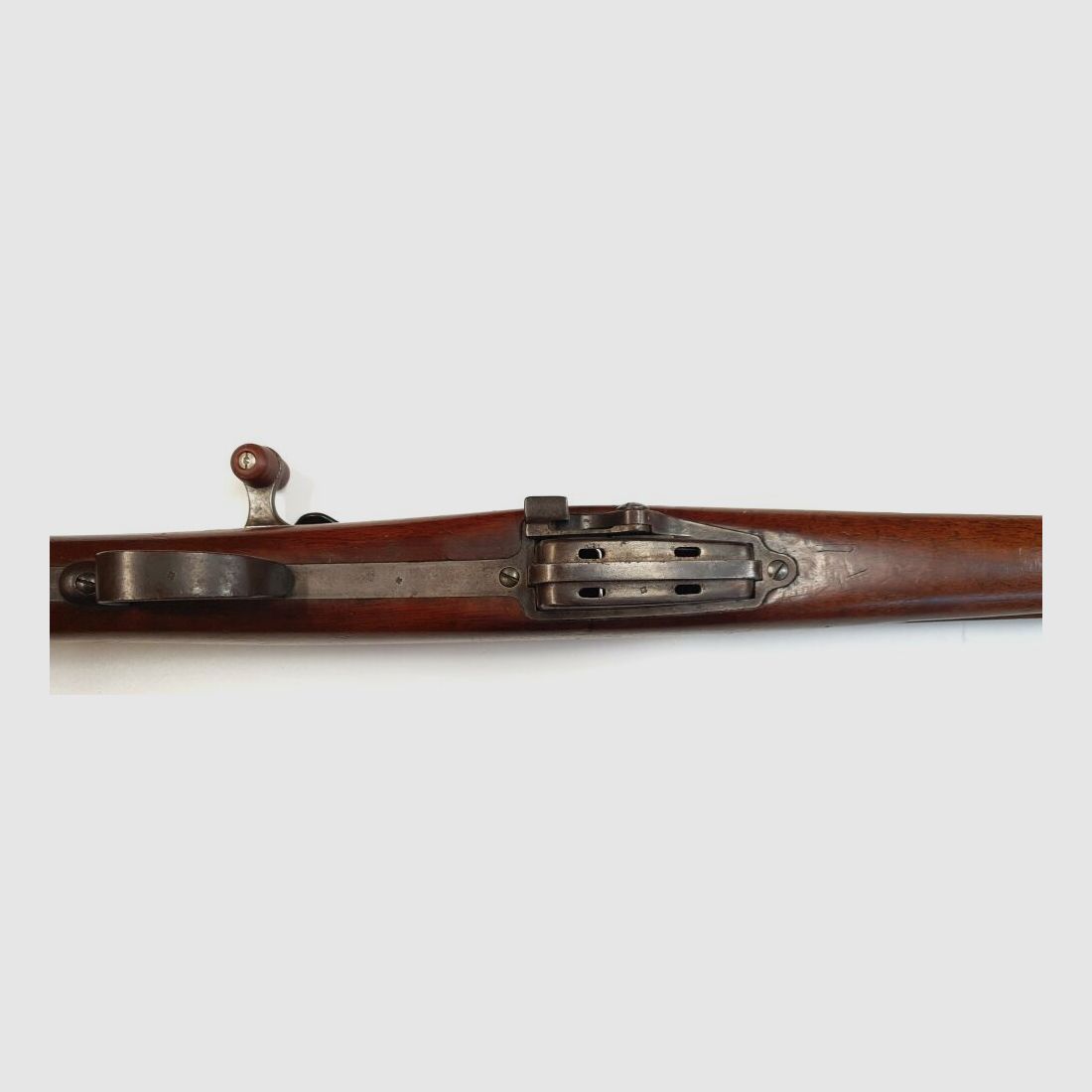 Bern Armory Single Shot, Bern Armory Infantry Rifle 1889, Cal. 22L.r.