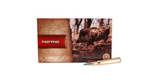 Norma .30-06 Spr. Ecostrike 9,7g/150grs.