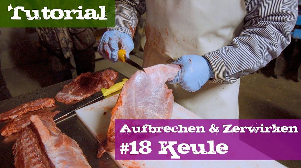 #18 Keule - Knochen auslösen - Schwarzwild - Lehrgang Aufbrechen & Zerwirken