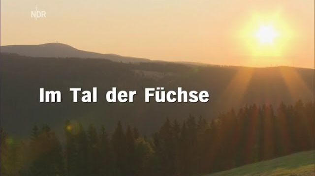 Im Tal der Fuechse - NDR 07.01.2014