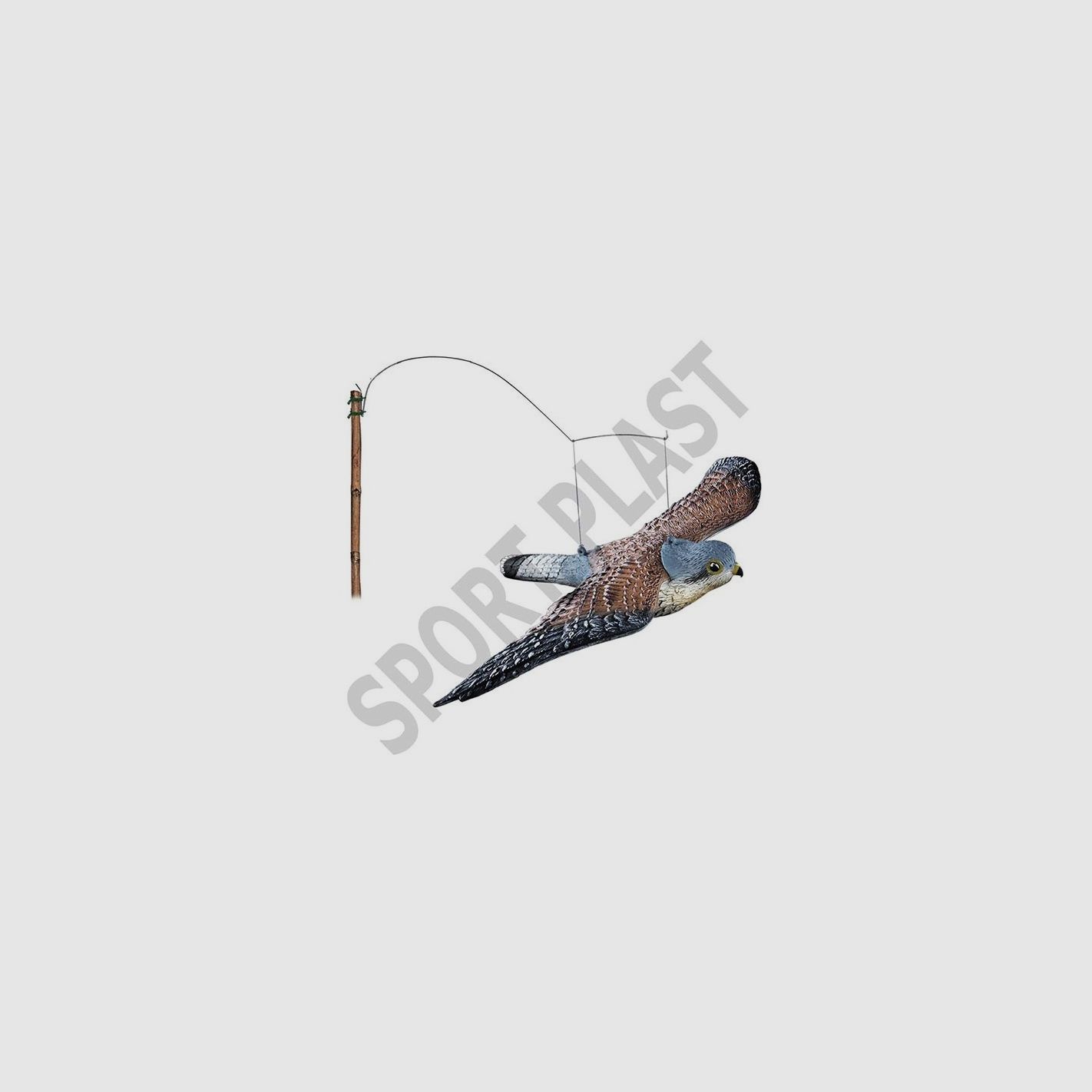 SPORT PLAST FALCO IN VOLO