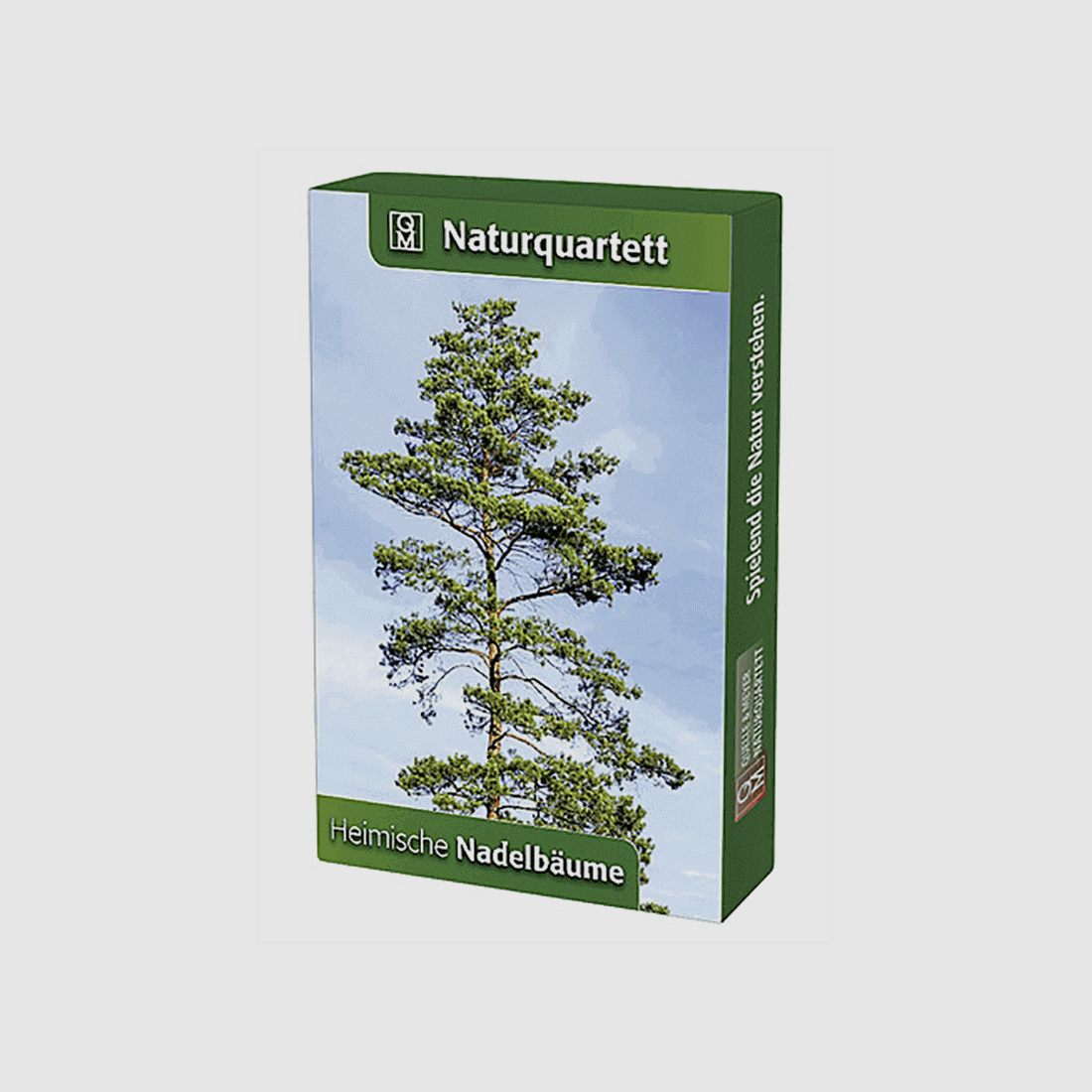 Quartetto della natura "Alberi di conifere"