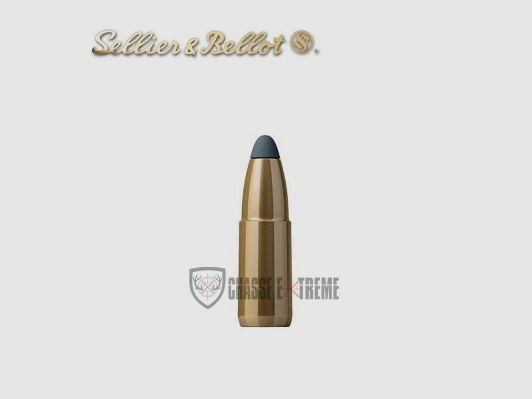 100 Proiettili S&B cal 30 180gr SPCE