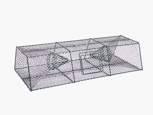 Fish trap