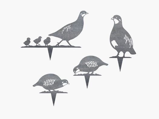 Deko-Gartenstecker Rebhuhn-Set (4-teilig)
