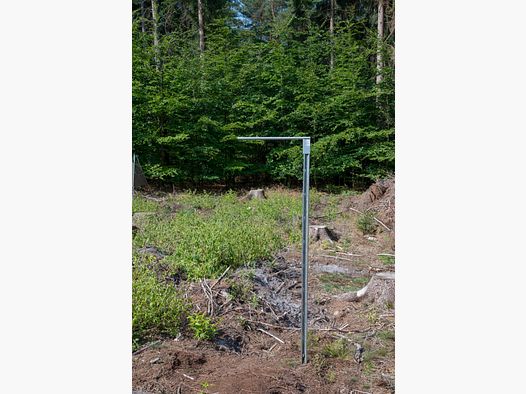 Single trap stand for bark beetle slot traps