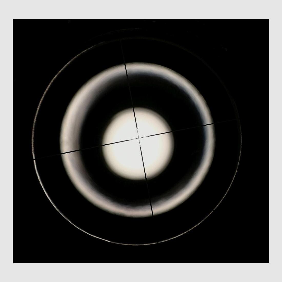 <Diana 52 (wbk-plichtig)>