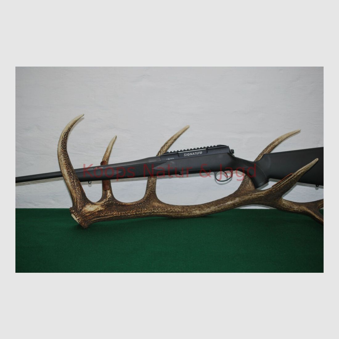 Rössler Signature Allround