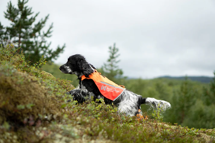 Non-Stop Dogwear 2,0 Vest, billede 3 af 5
