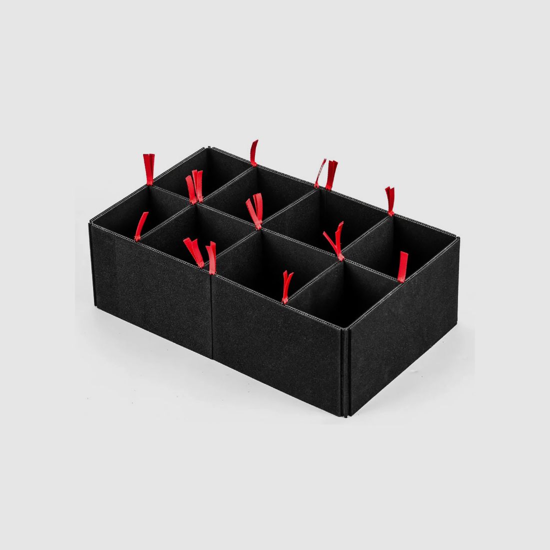 RAUZEUG Organizer INLAY per RC350