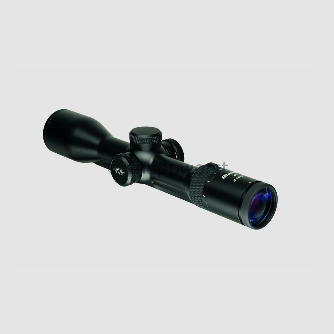 Blaser weapons Blaser B2 2-12x50 iC S