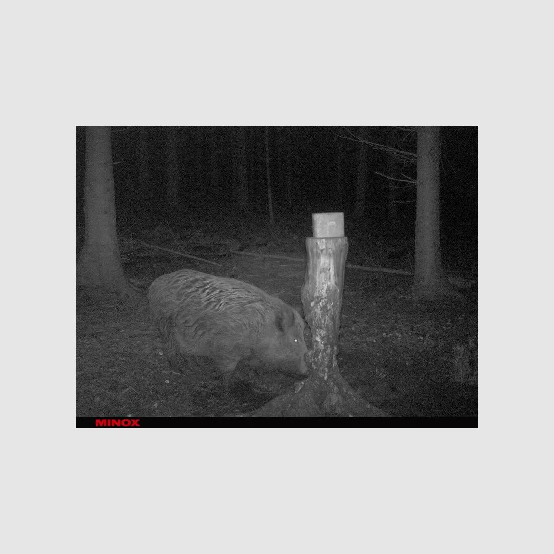 MINOX DTC 1200 Wildkamera