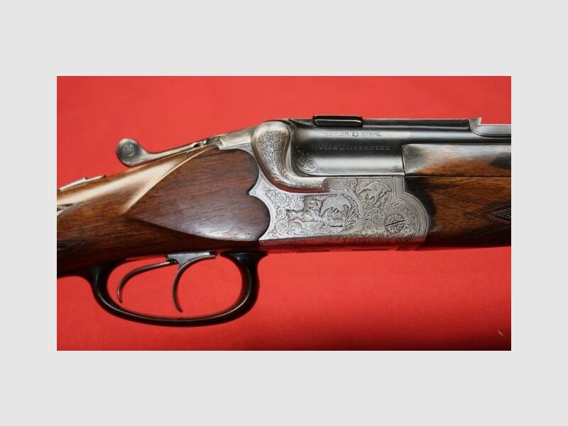 Commissione BBFL Merkel m.E.-Corsa