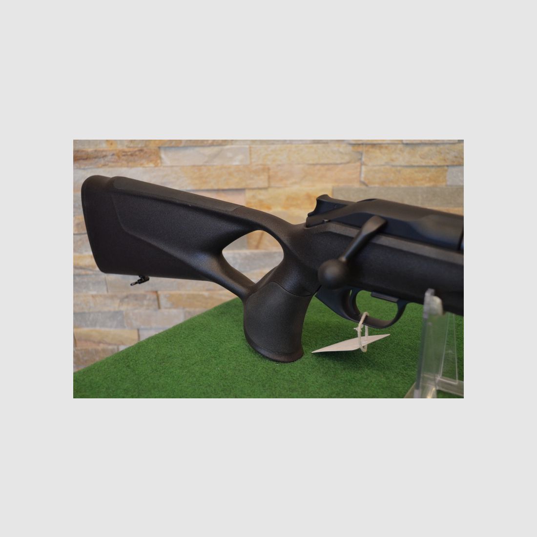 Blaser R8 Professional Success