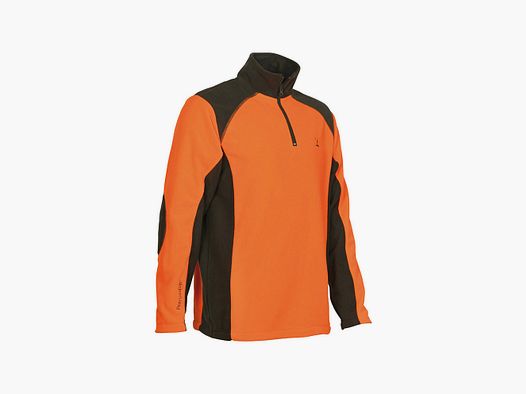 Polo polaire