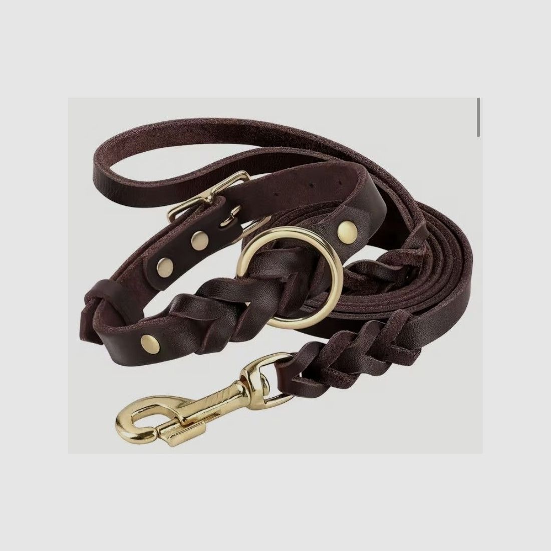 Hundehalsband-Set - Leder-Optik