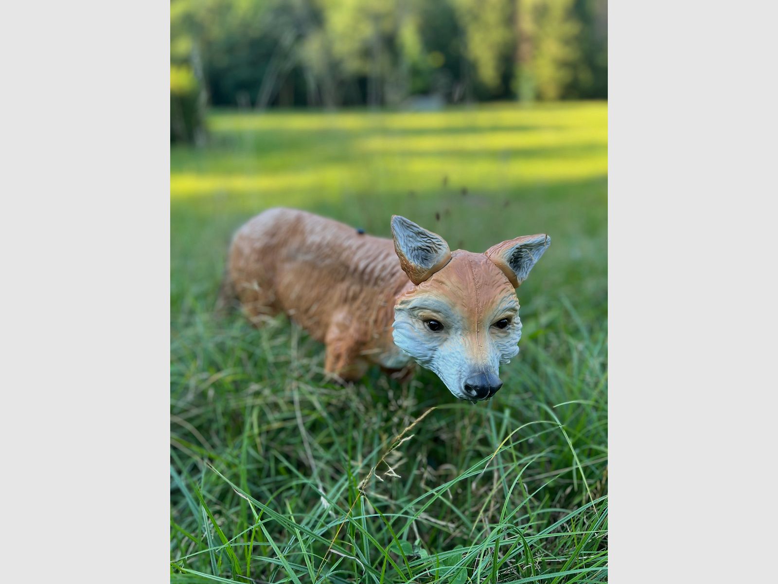 Fuchs Attrappe