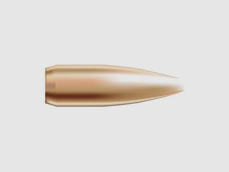 NOSLER 22 KALIBER (0,224″) 52GR HOLLOW POINT BOAT TAIL 1.000/BOX, zdjęcie 1 z 2