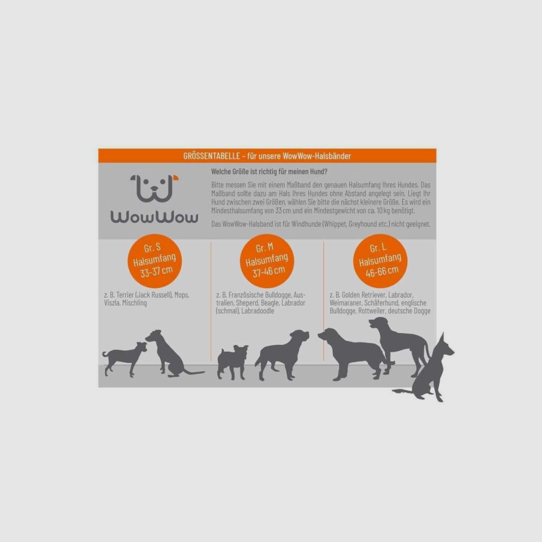WowWow Hundehalsband mit integrierter Leine Orange