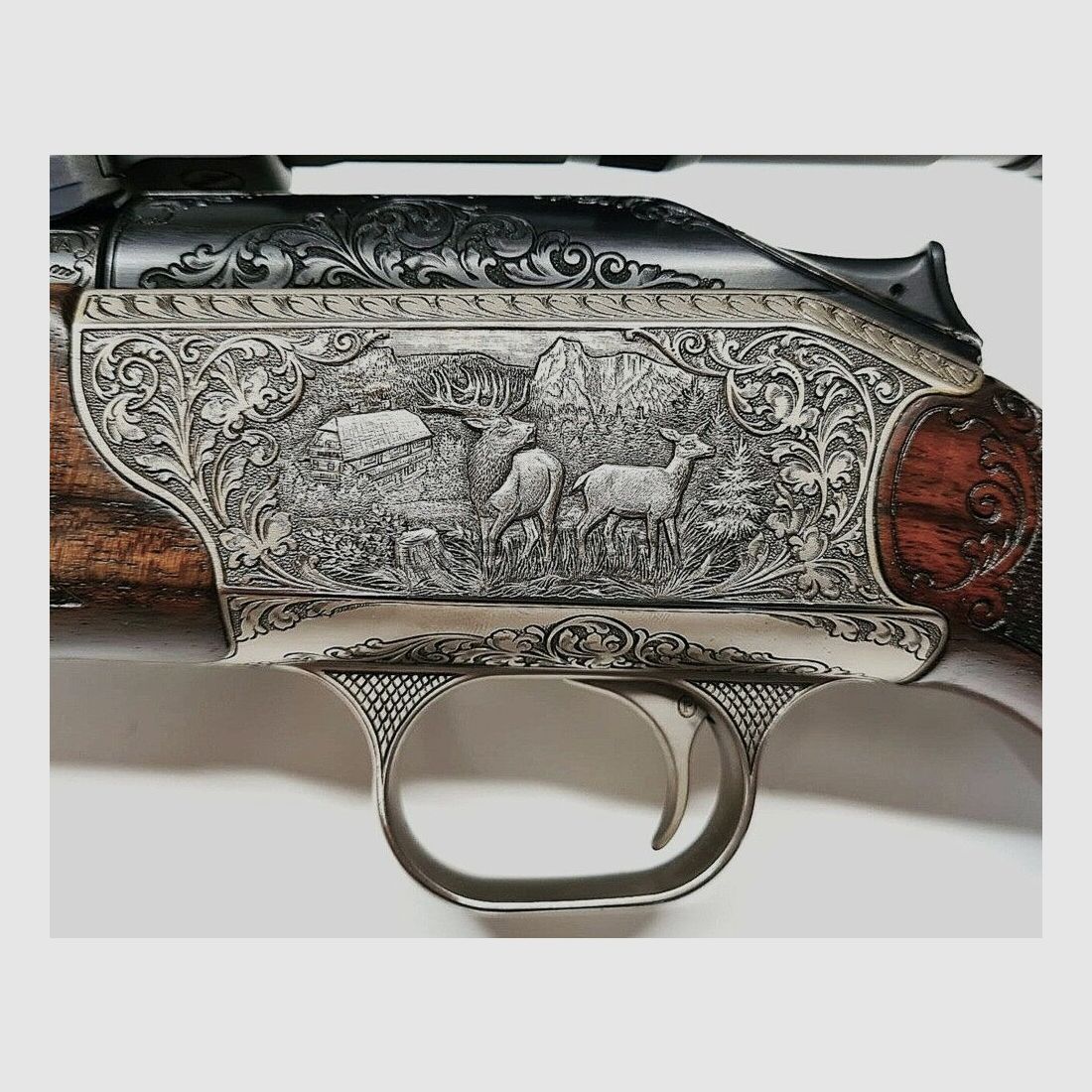 Blaser R93, imagen 4 de 10