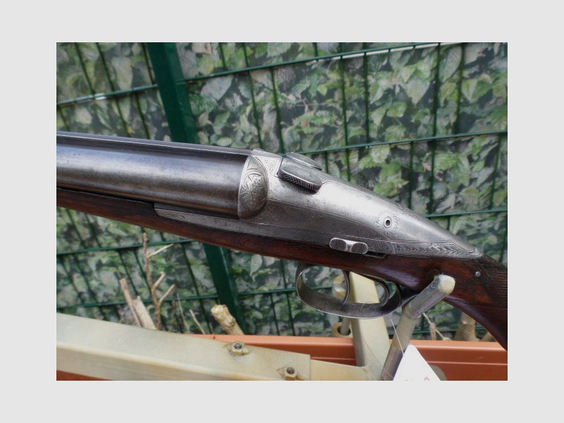 Charlin System Darne shotgun