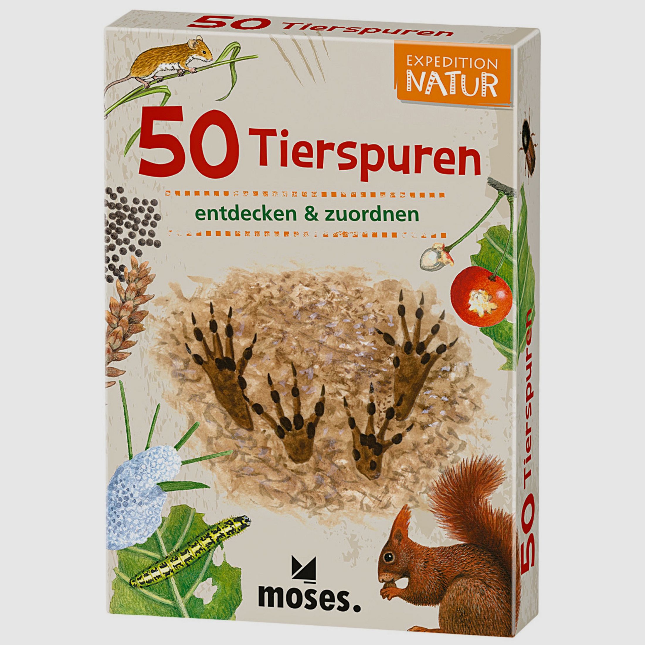 Moses Kartenspiel 50 Tierspuren