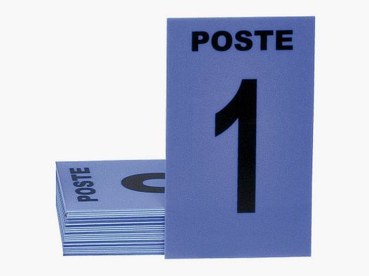 SET AUS 24 BLAUEN POSTKARTEN + 3 NEUTRALE BLAU