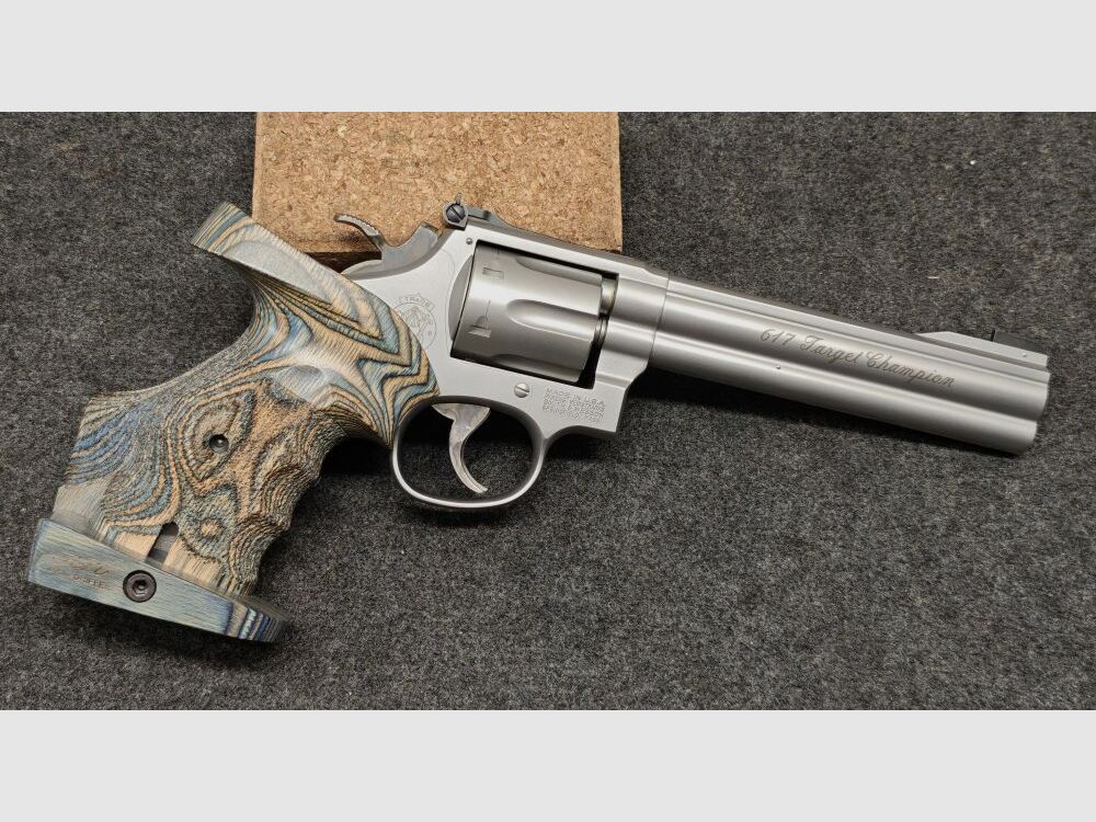 Smith & Wesson 617-1 Target Champion