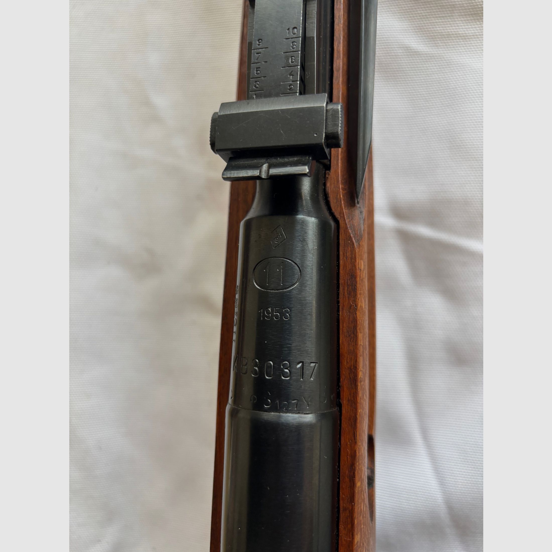 Mosin nagant