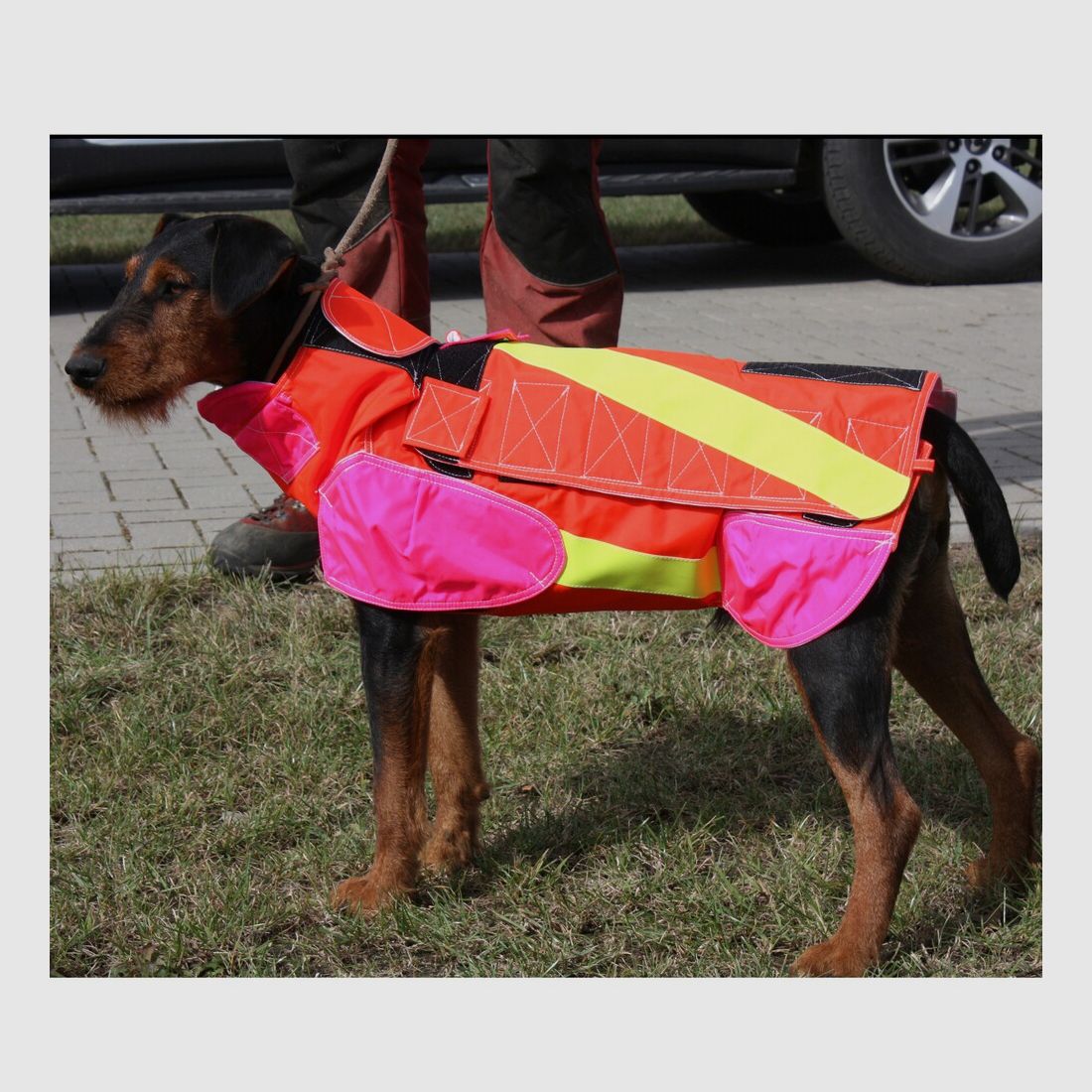 Out Dog Gilet de protection pour chien standard (Circonférence thoracique 75 cm – mâle), image 7 sur 7