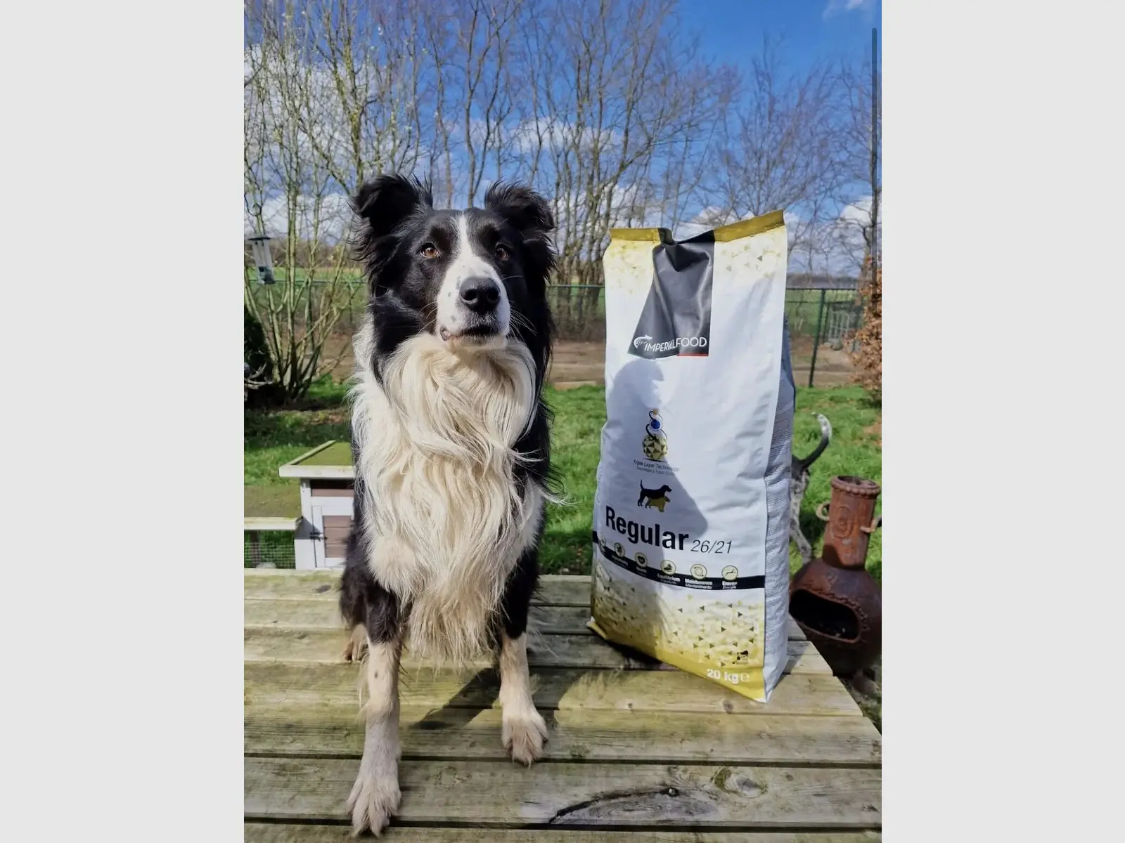Imperial Food Regular 20 kg, afbeelding 4 van 4